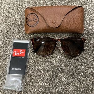 RayBans Erika Sunglasses